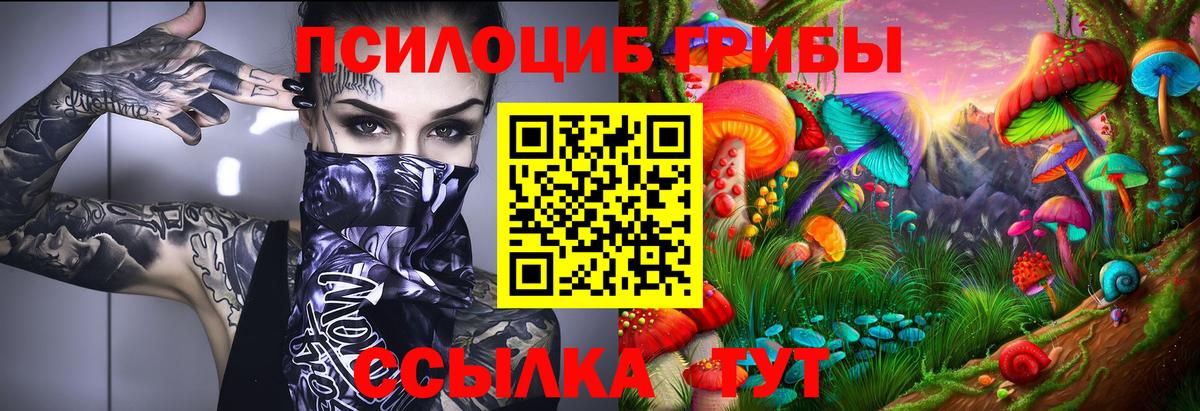 Галлюциногенные грибы MAGIC MUSHROOMS Похвистнево